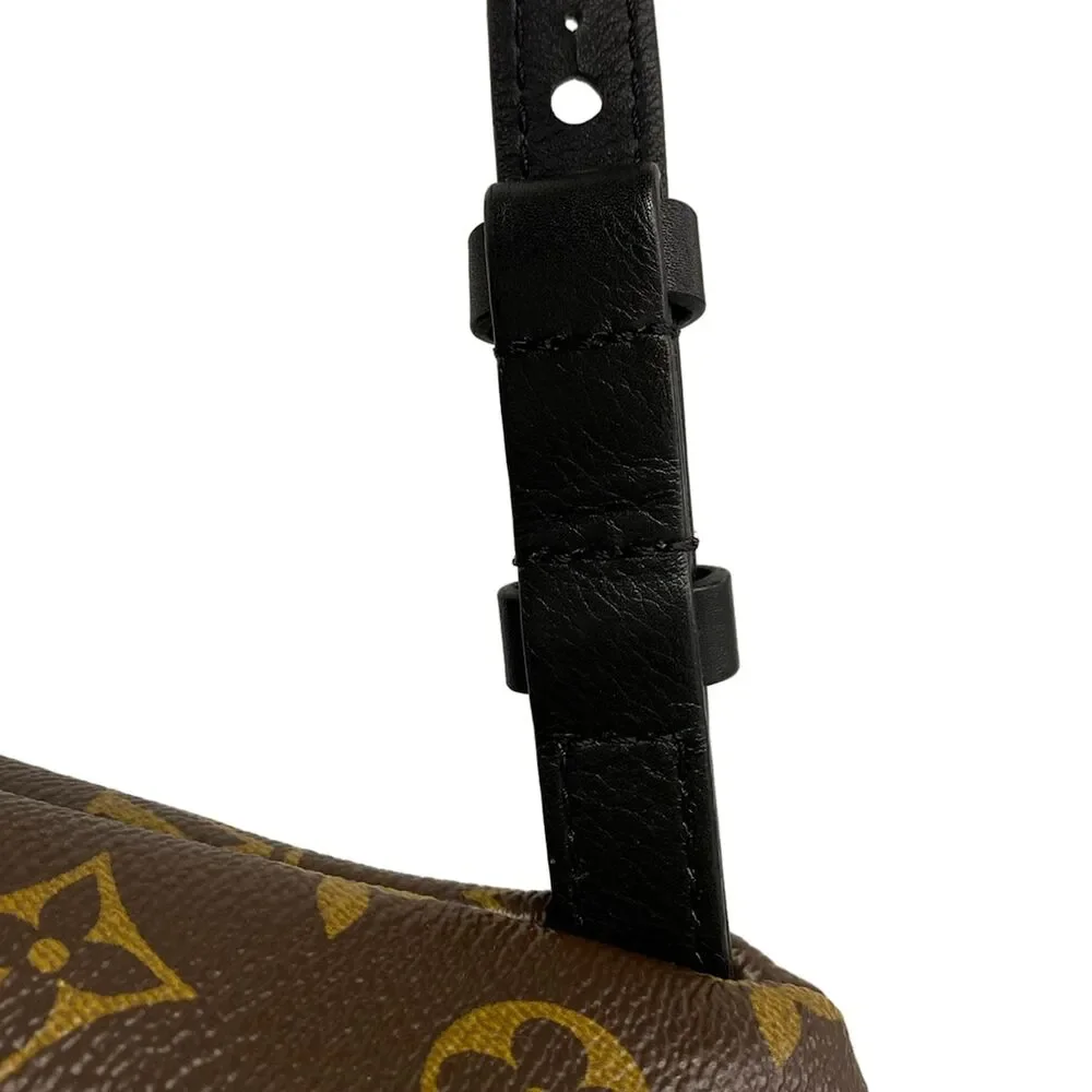 Louis Vuitton Palm Springs Backpack PM Monogram Backpack M41560
